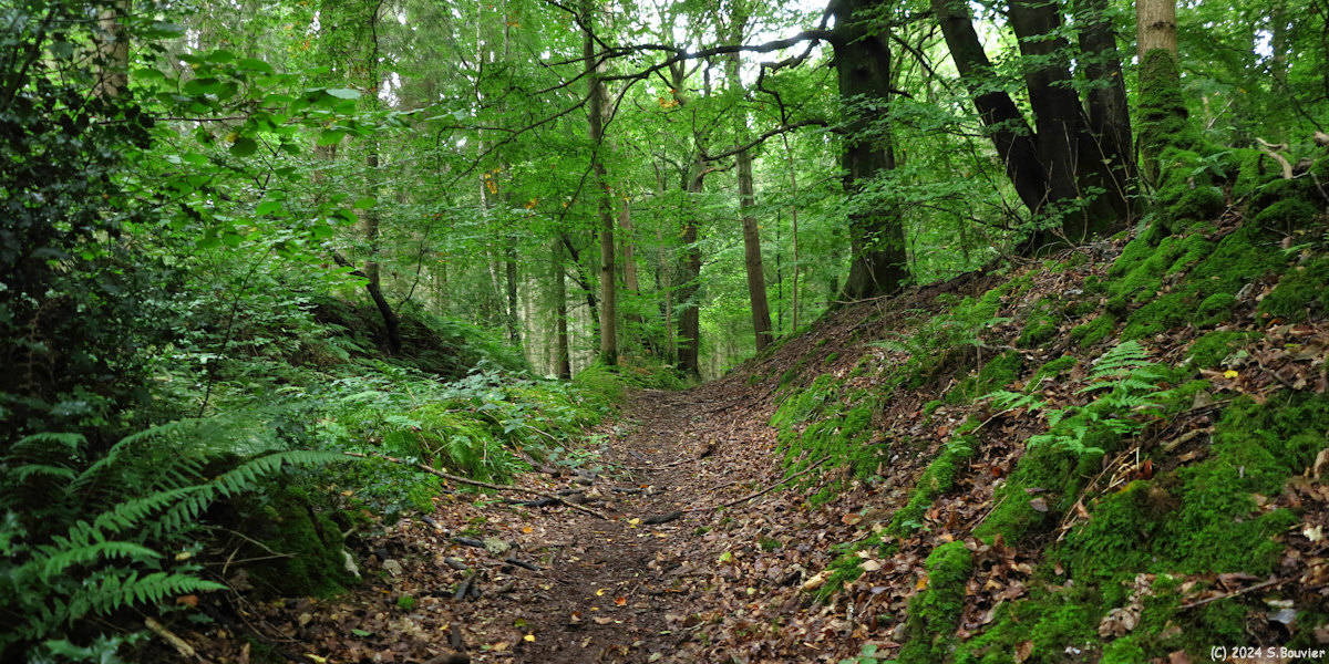 Massif de Pimont (Chemin 4)