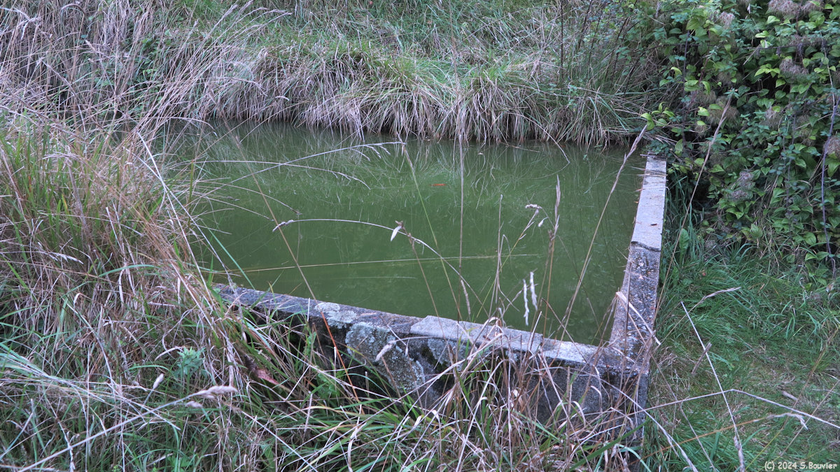Dampierre Saint Nicolas (Abreuvoir)