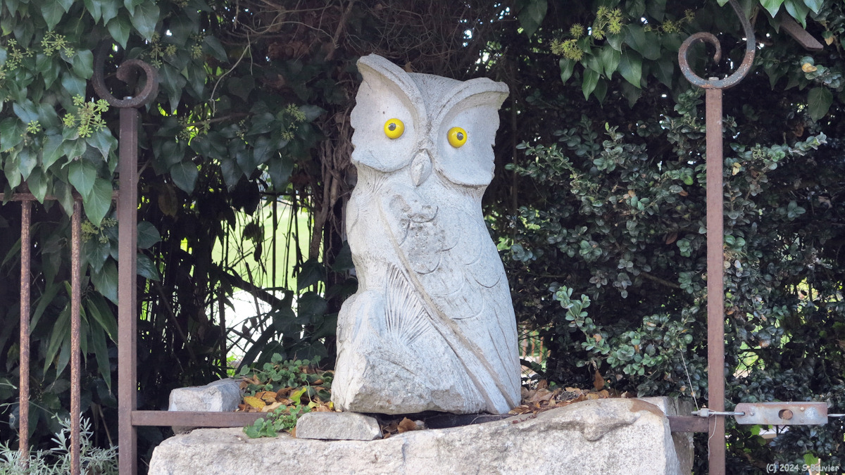 Torcy le Petit (Chouette)