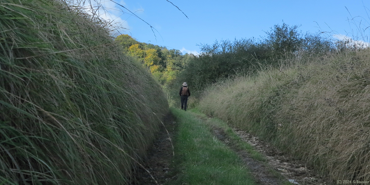 Saint Germain d'Etables (Chemin 3)