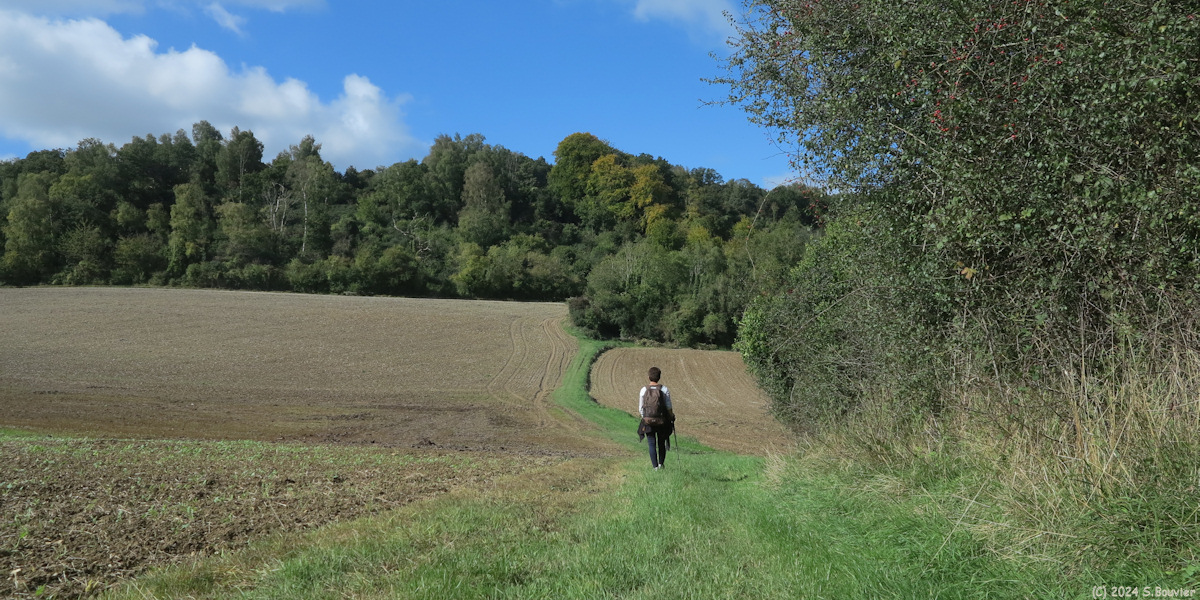 Saint Germain d'Etables (Chemin 4)