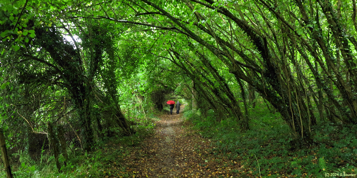 Saint Crespin (Chemin 2)