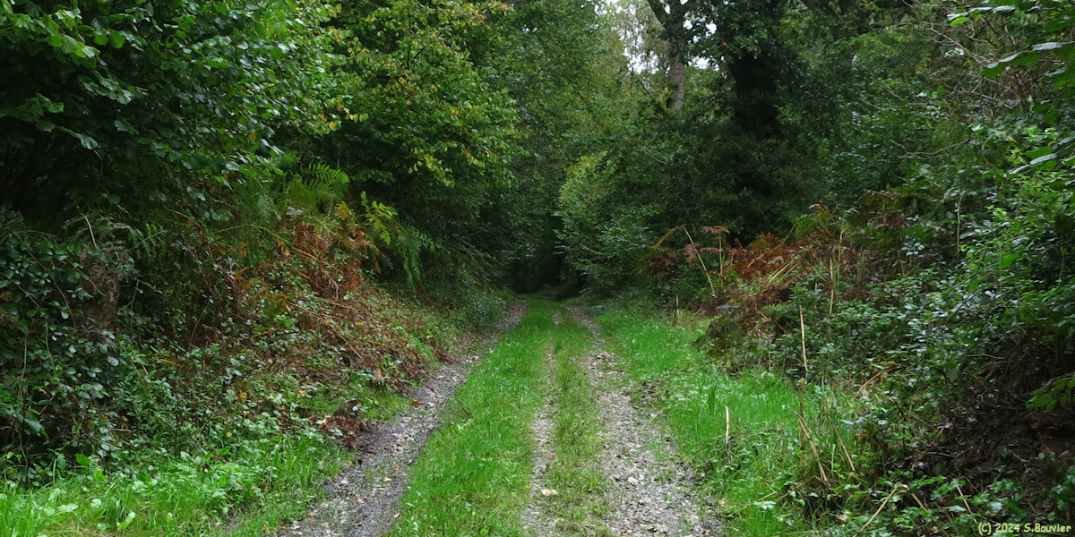 Les Cent Acres (Chemin 1)