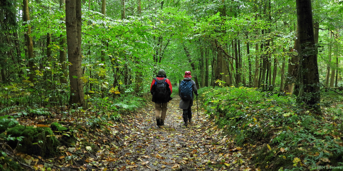 Les Cent Acres (Chemin 2)