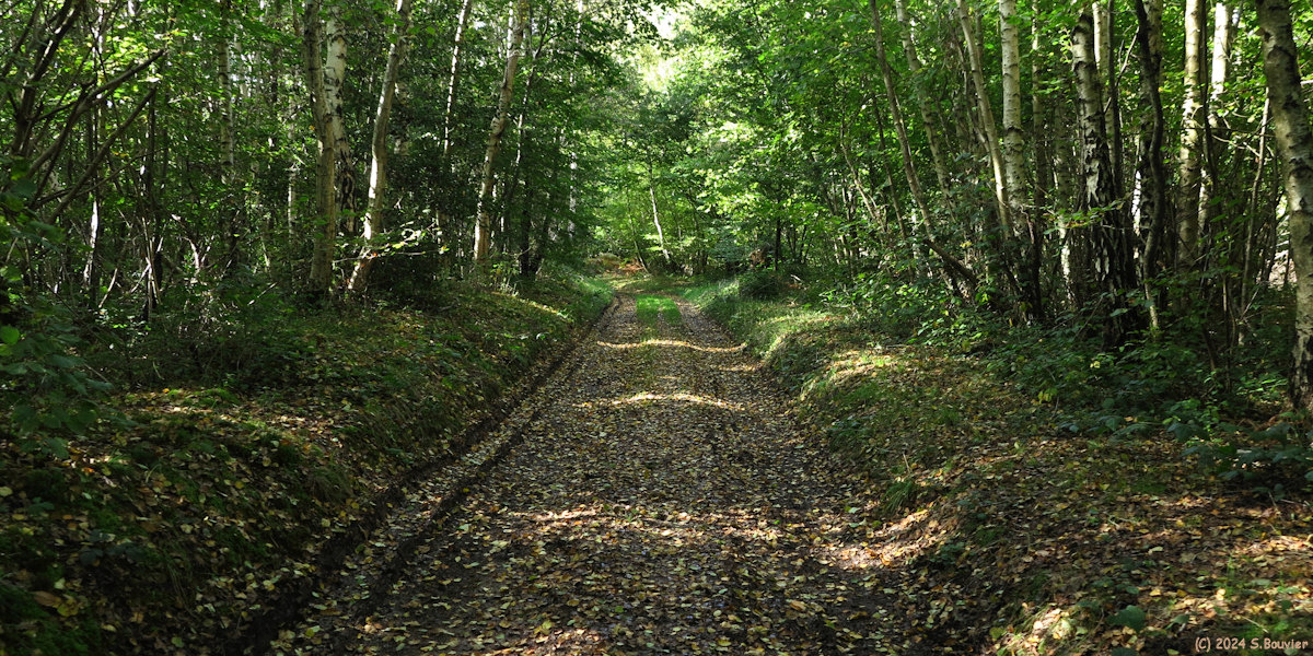 Les Cent Acres (Chemin 2)