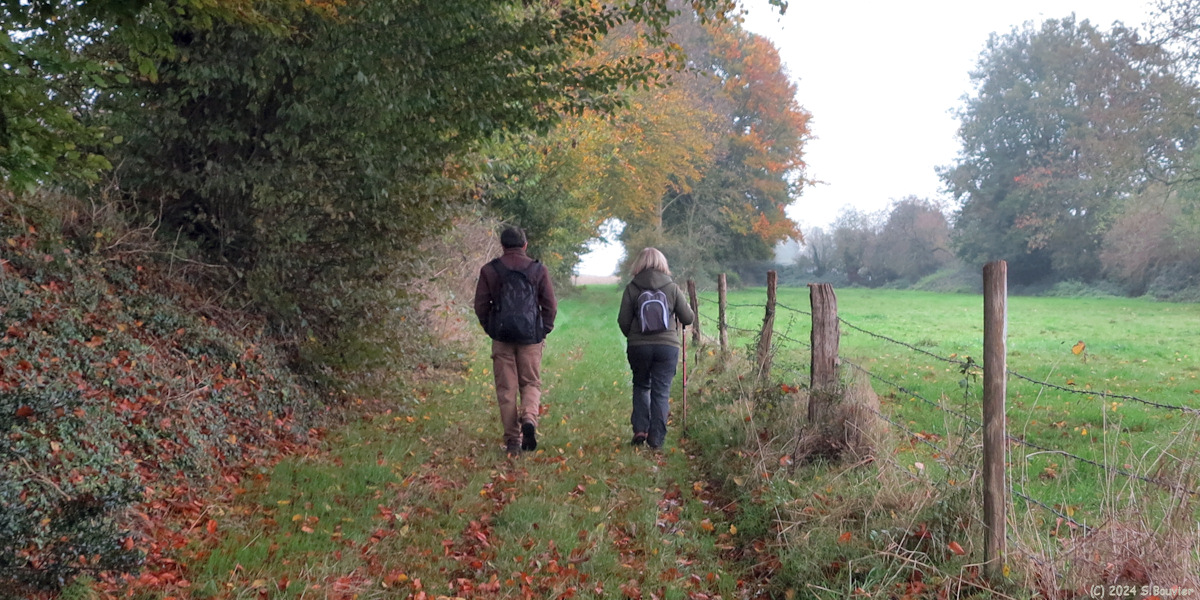 Auffay (Chemin)