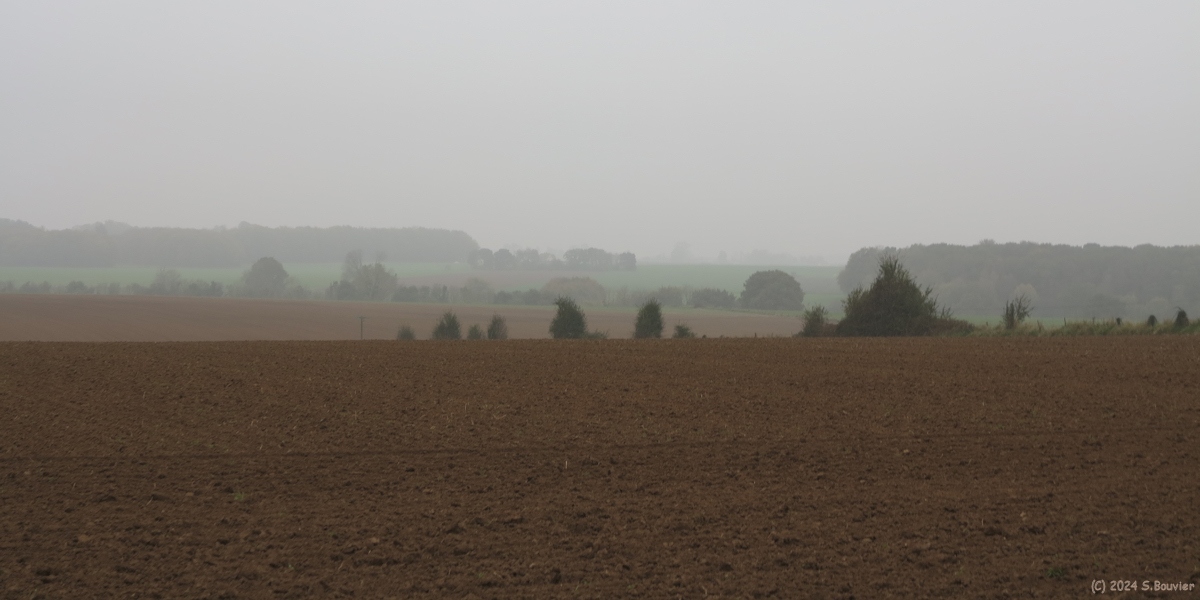 Auffay (Plaine)
