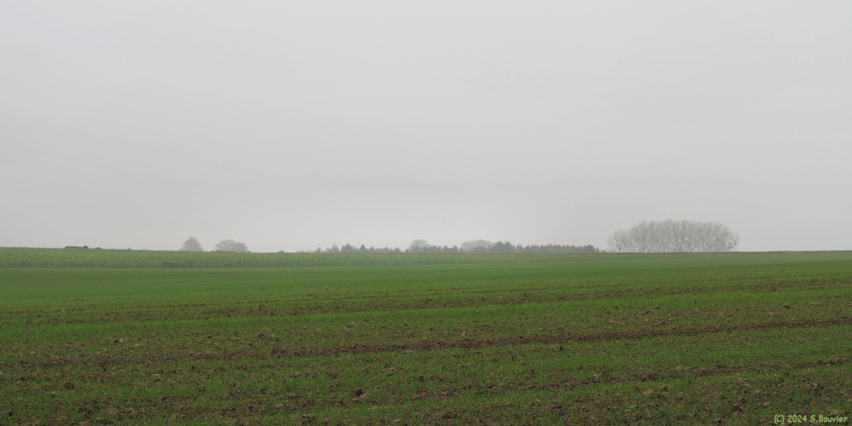 Cropus (Plaine)