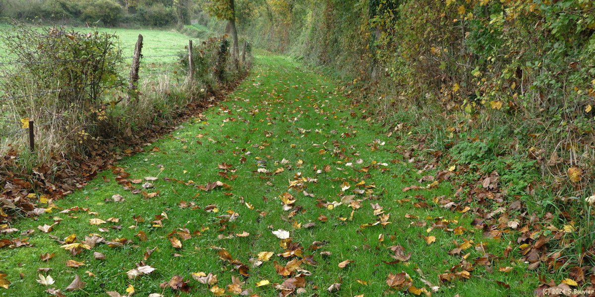 Ryes (Chemin 1)