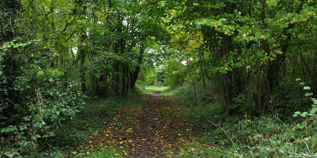 Ryes (Chemin 2)