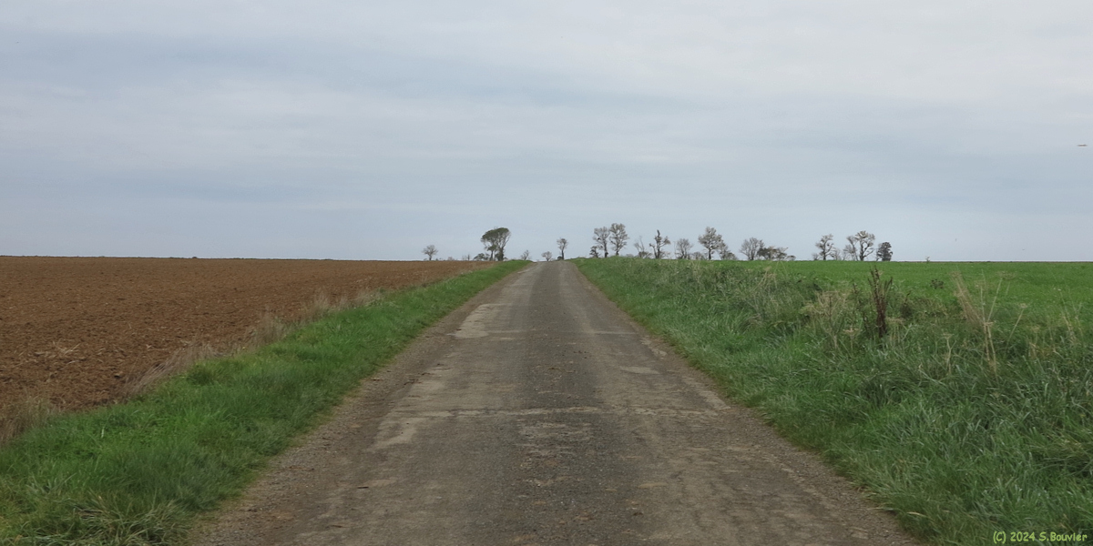 Longues sur Mer (Chemin)