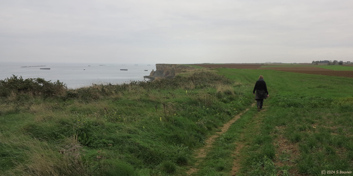 Manvieux (Falaises 1)