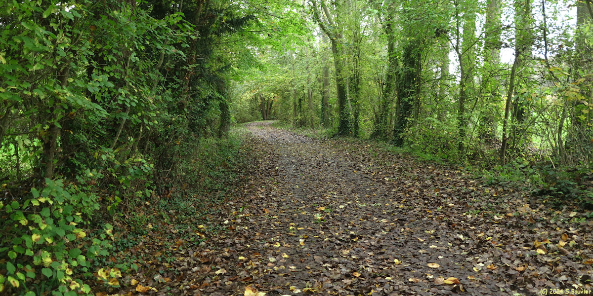 Amblie (Chemin 1)