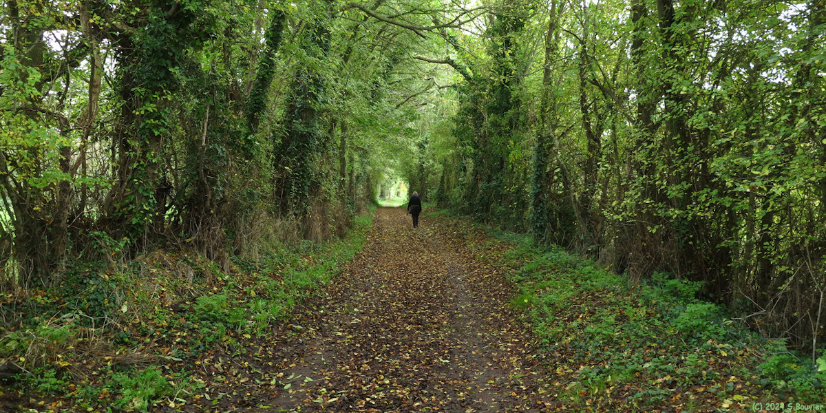 Amblie (Chemin 2)
