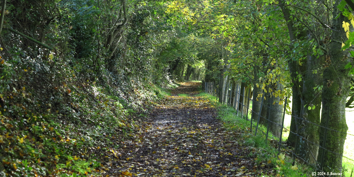 Amblie (Chemin 4)