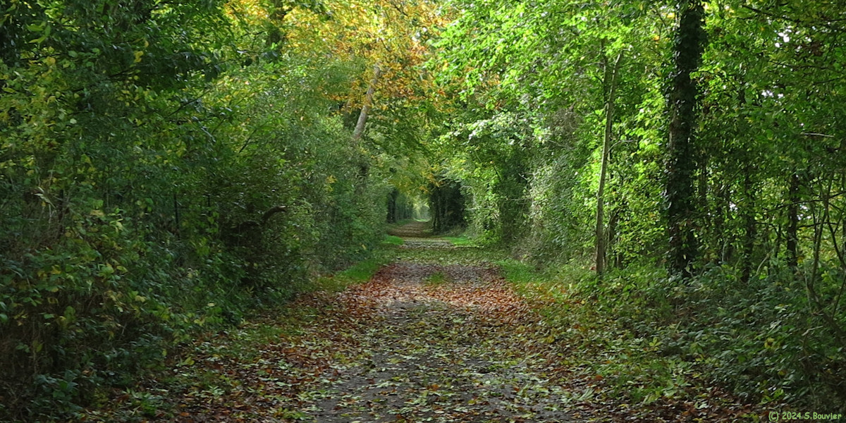 Lantheuil (Chemin)