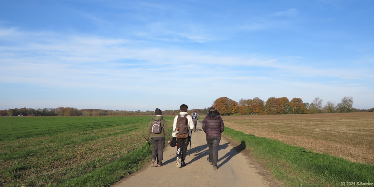 Saint Maclou de Folleville (Route 1)