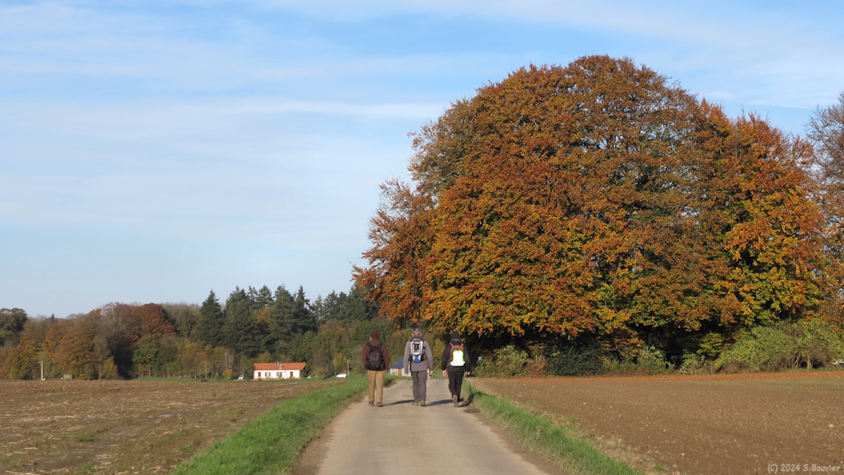 Saint Maclou de Folleville (Route 2)