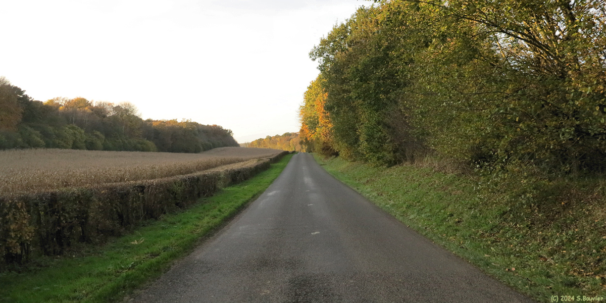 Auffay (Route)
