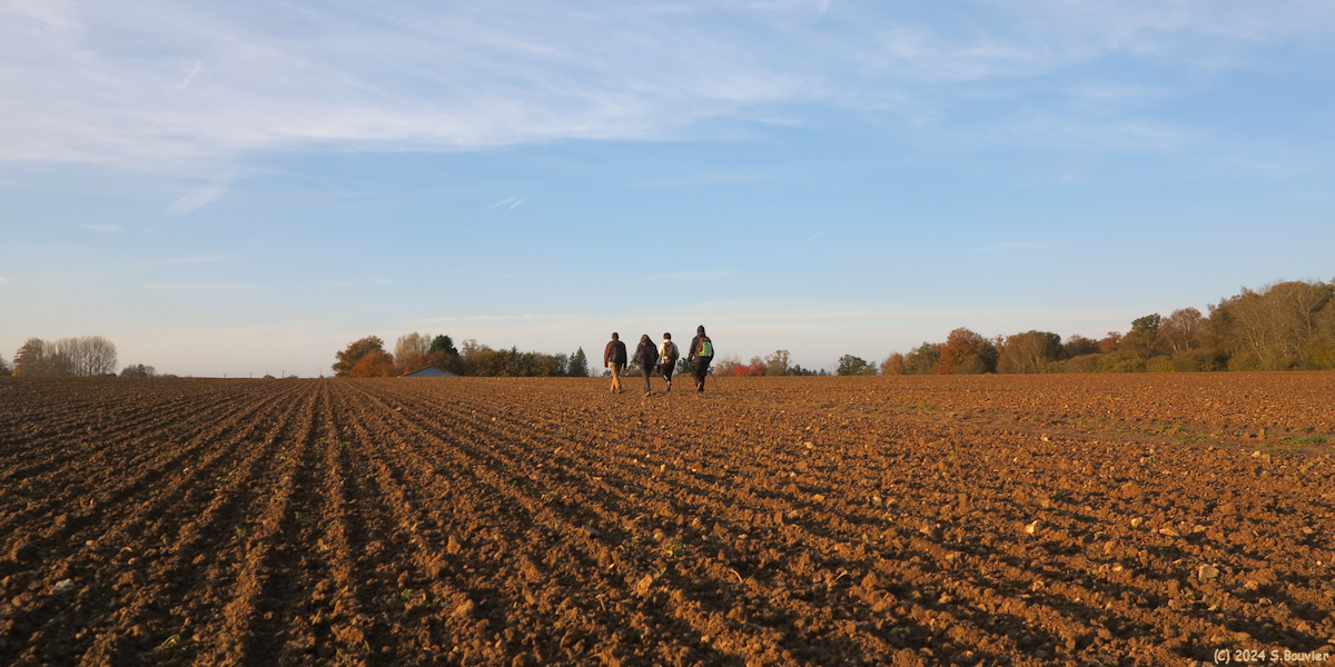 Auffay (Chemin 1)