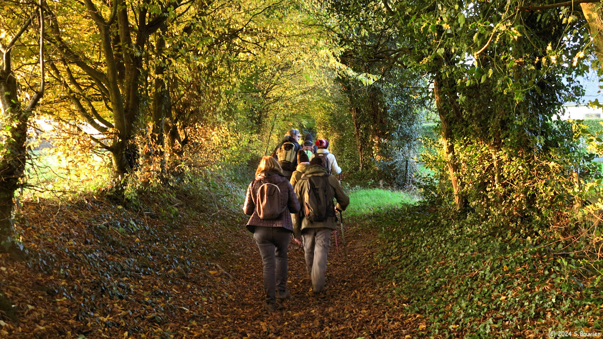 Auffay (Chemin 2)