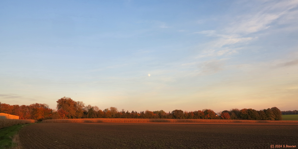 Auffay (Chemin 3)