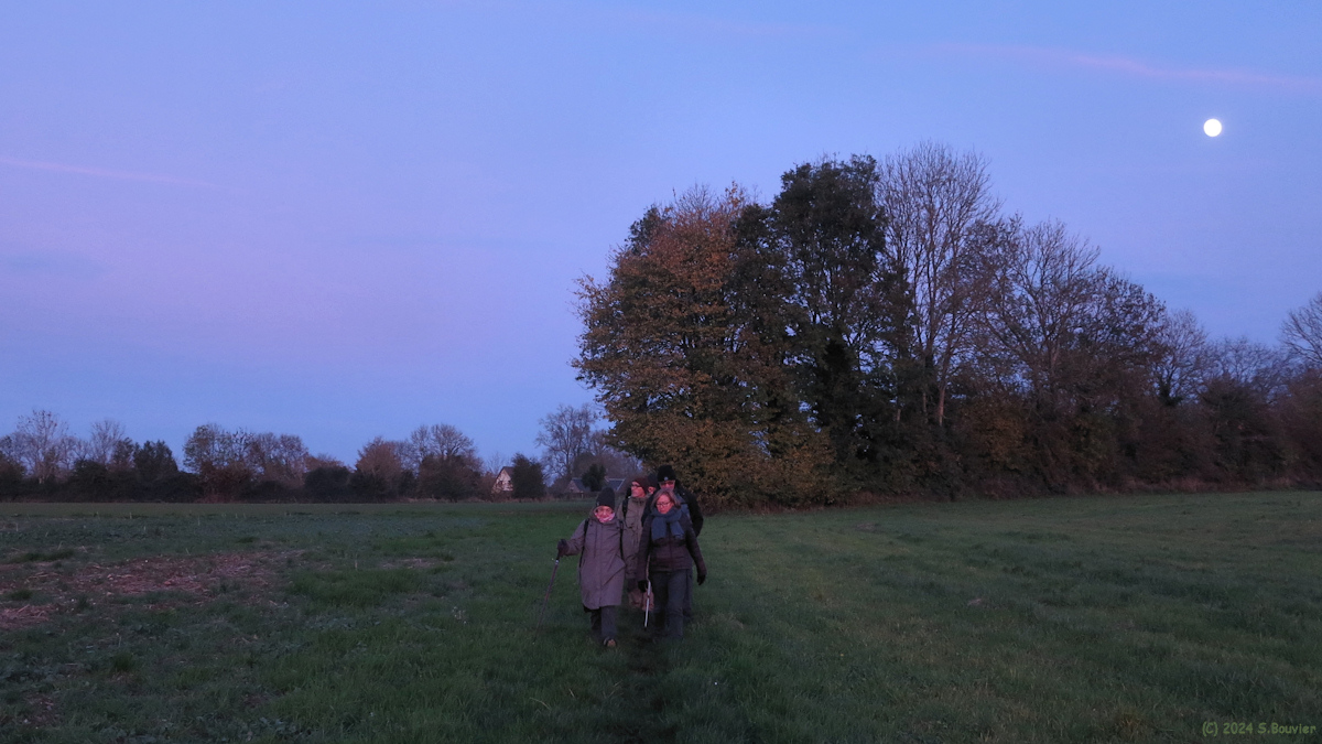 Auffay (Chemin 5)