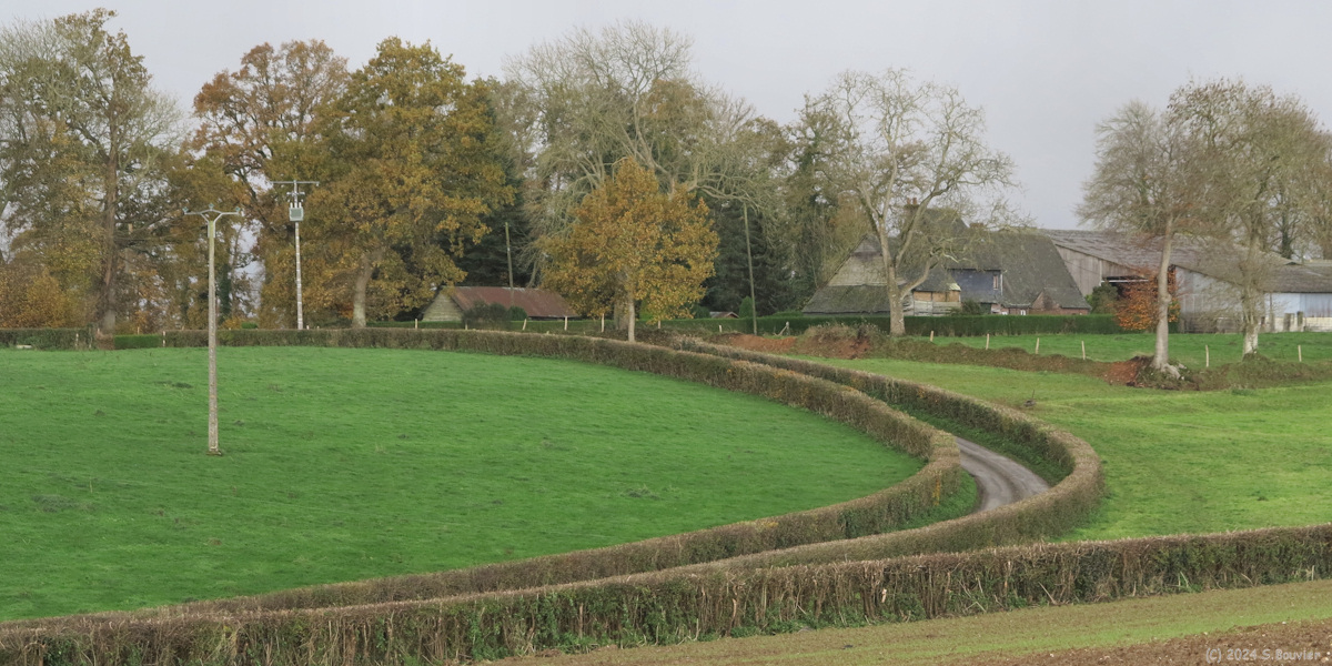 Saint Victor l'Abbaye (Route 4)