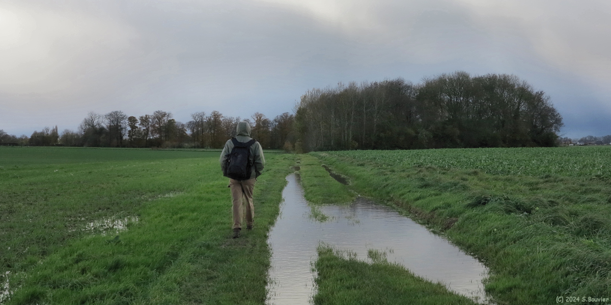 Fresnay le Long (Chemin 3)