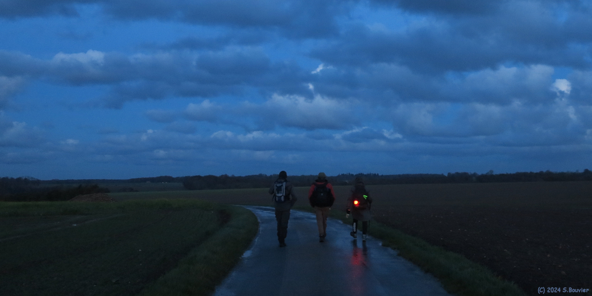Vassonville (Route)