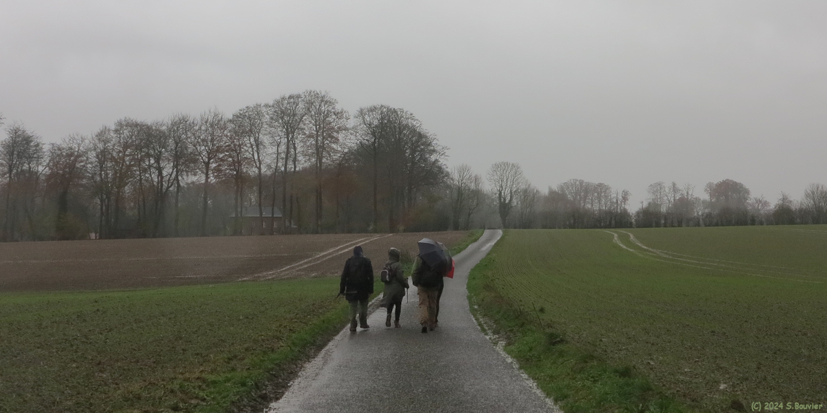 Bracquetuit (Route)