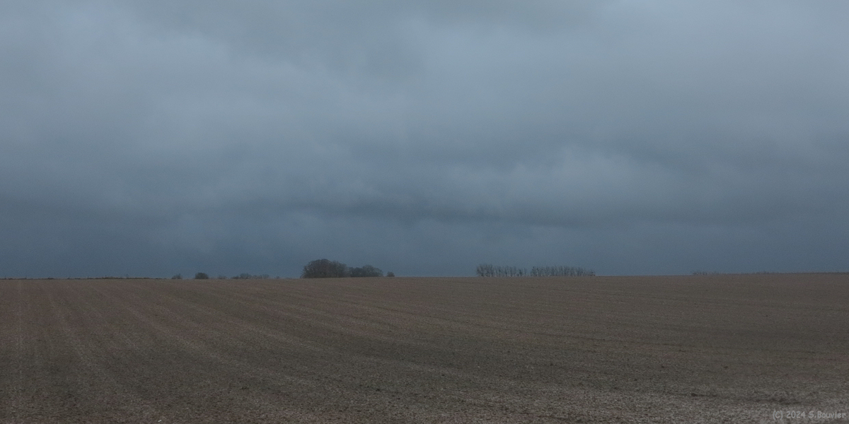 Bracquetuit (Plaine 2)