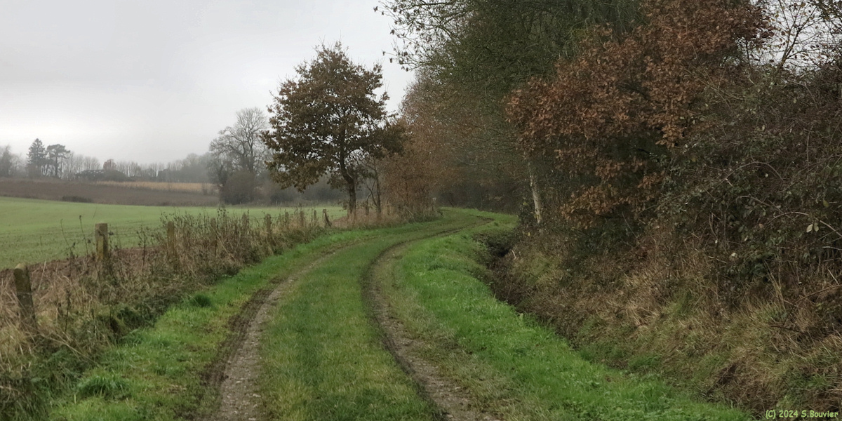 Etaimpuis (Chemin 3)