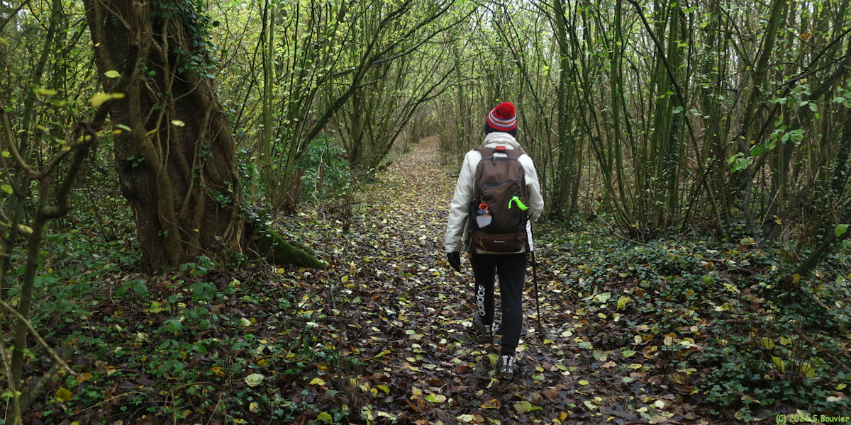 Grugny (Chemin 1)