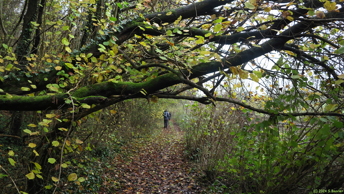 Grugny (Chemin 2)