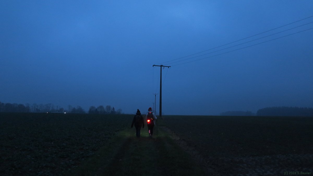 Bosc le Hard (Chemin 2)