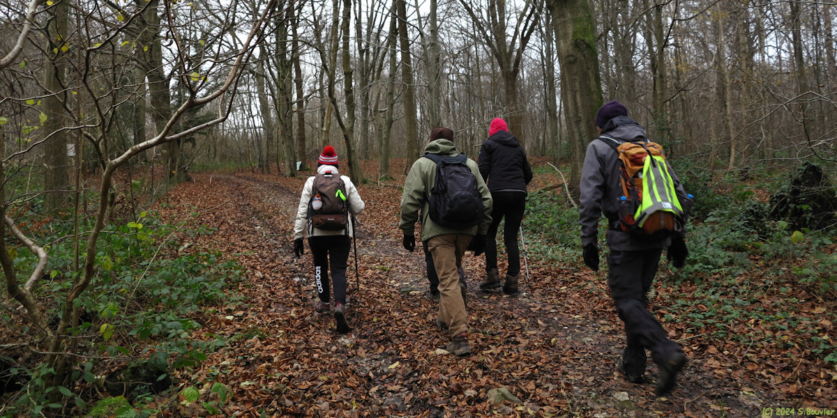 Clères (Chemin 1)