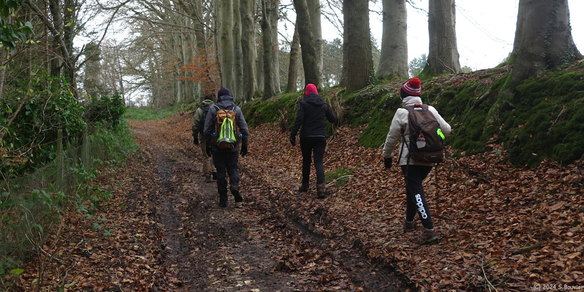 Clères (Chemin 2)