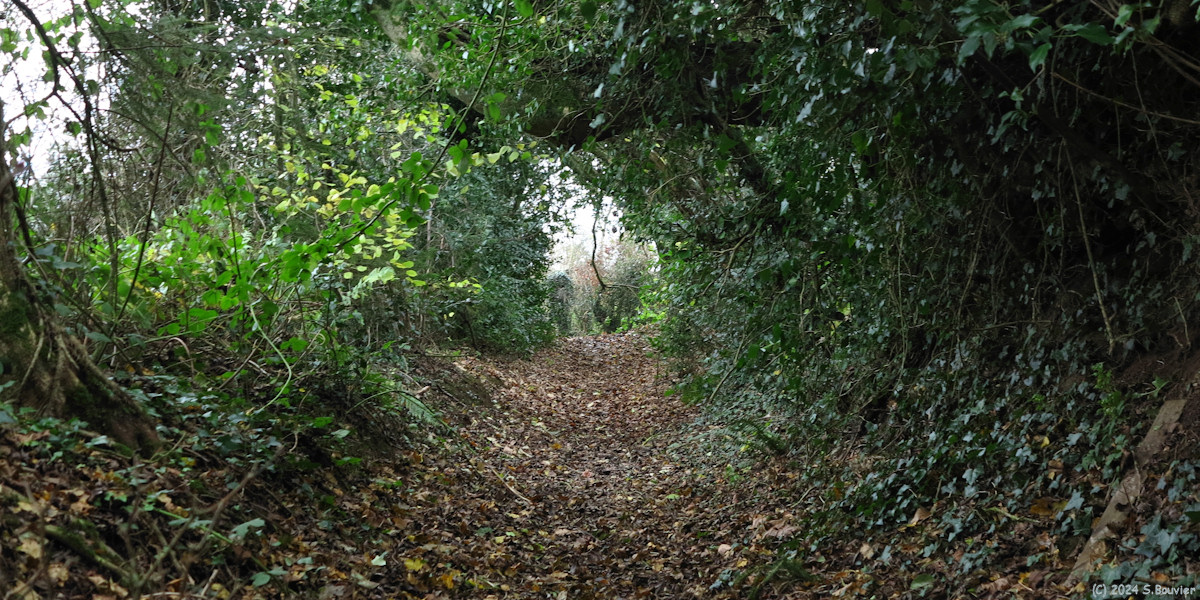 Le Bocasse (Chemin 2)