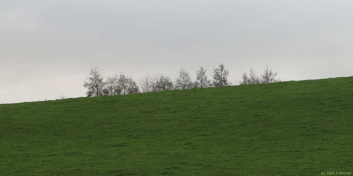 Grugny (Prairie)