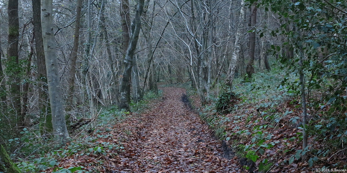 Grugny (Chemin)