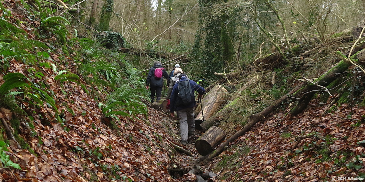 Clères (Chemin 2)