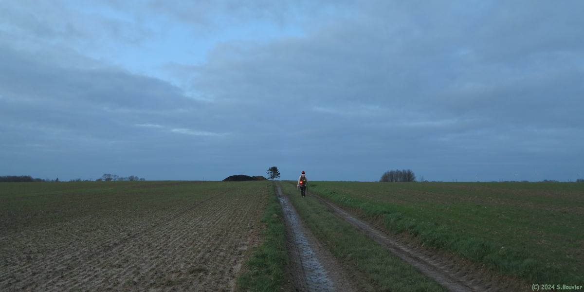 Le Bocasse (Chemin 2)