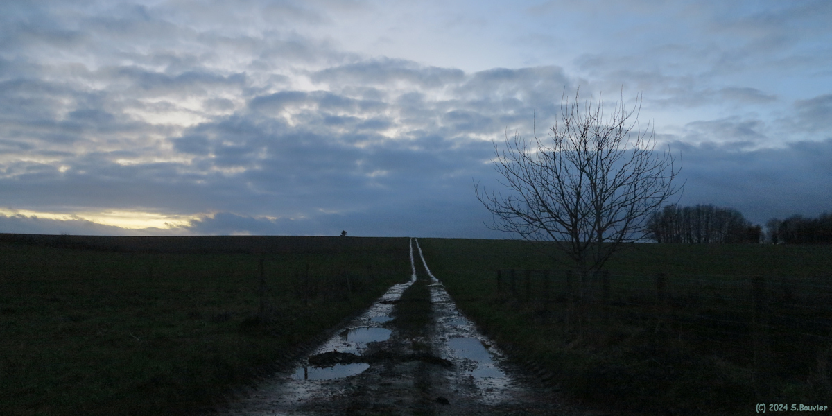 Le Bocasse (Chemin)