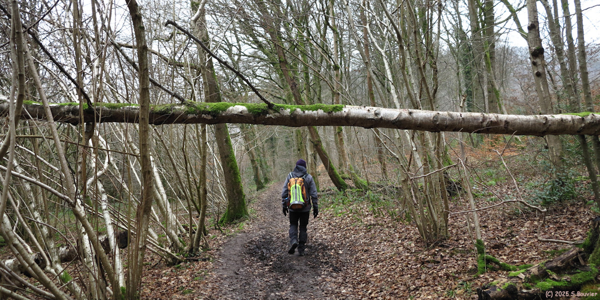 Montville (Chemin 1)