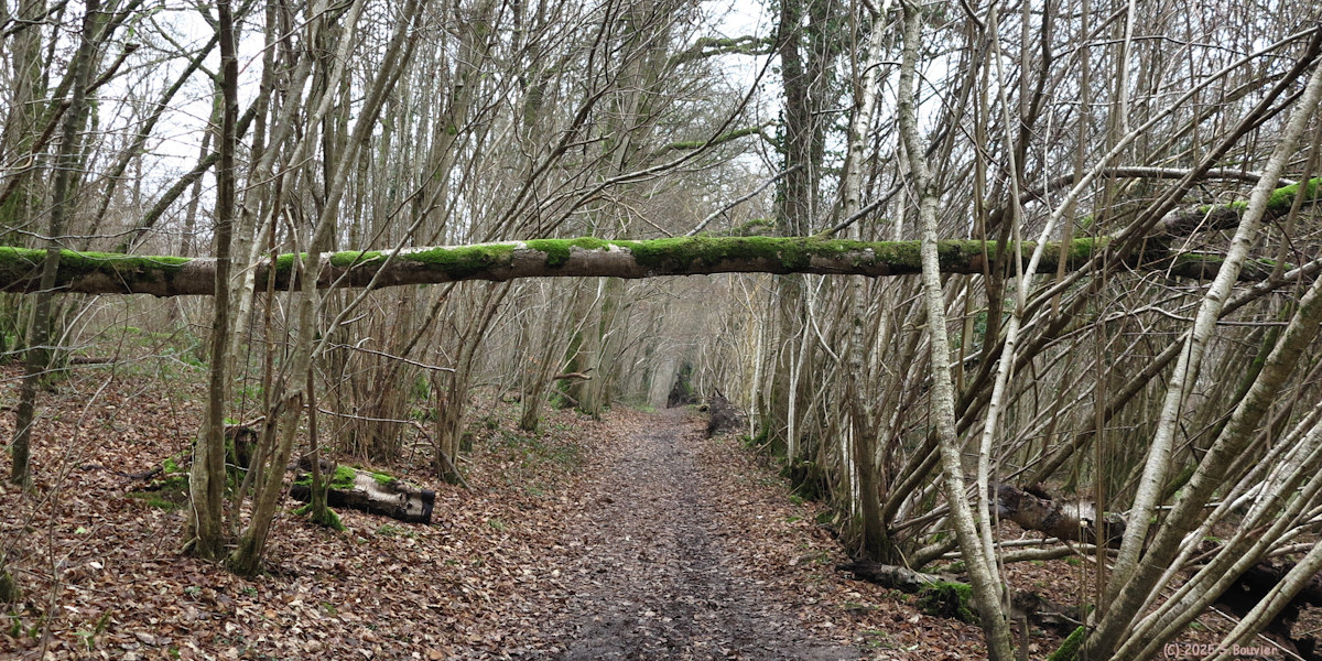 Montville (Chemin 2)