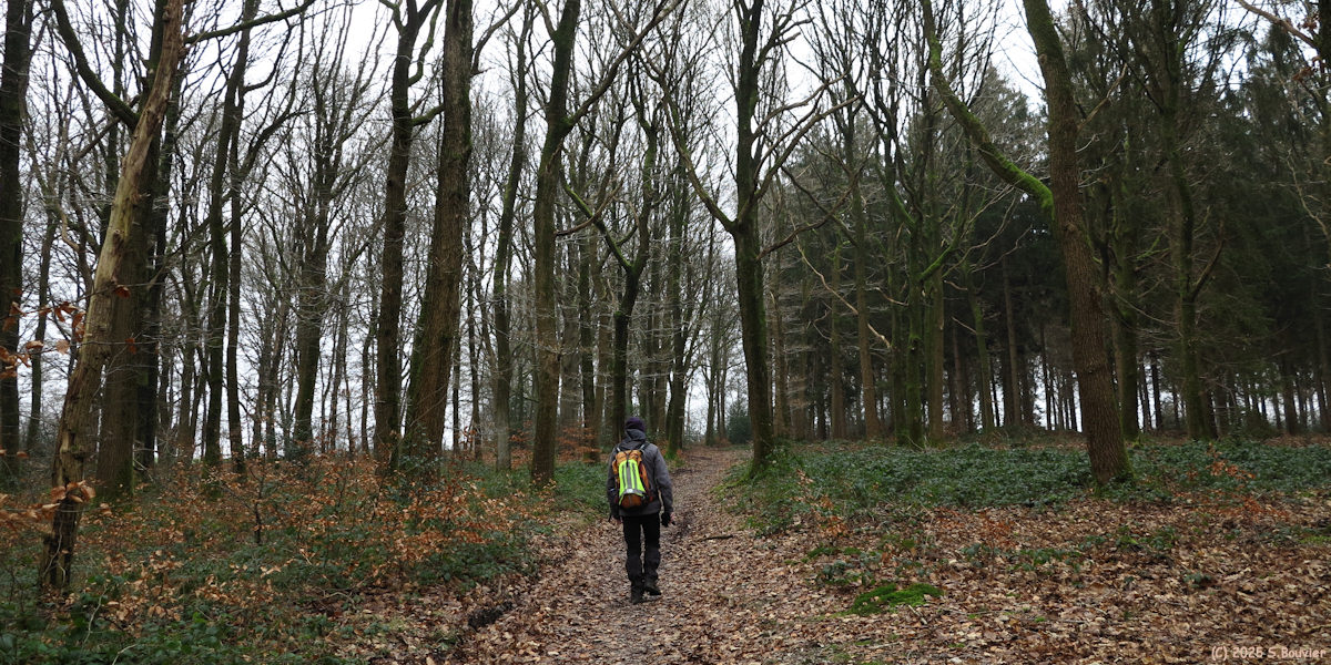 Mont Cauvaire (Chemin 1)