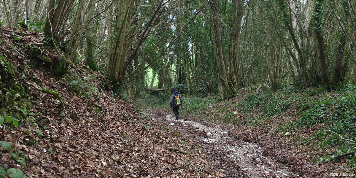 Mont Cauvaire (Chemin 2)
