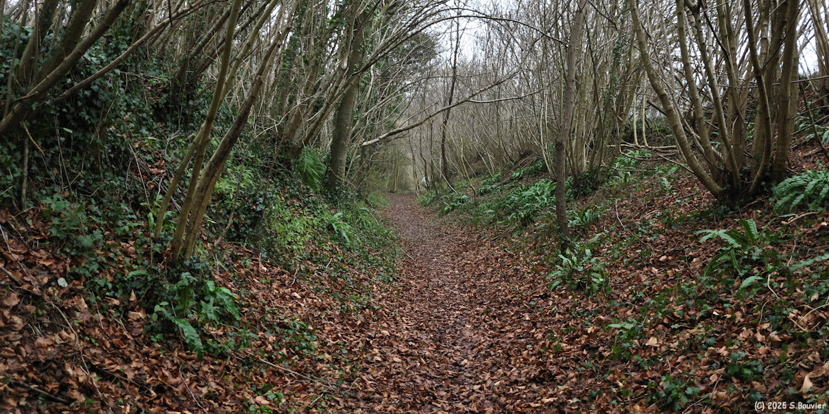 Mont Cauvaire (Chemin 3)