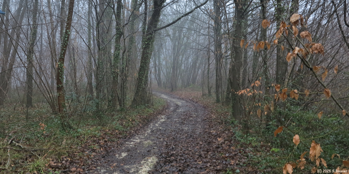 Montville (Chemin 1)